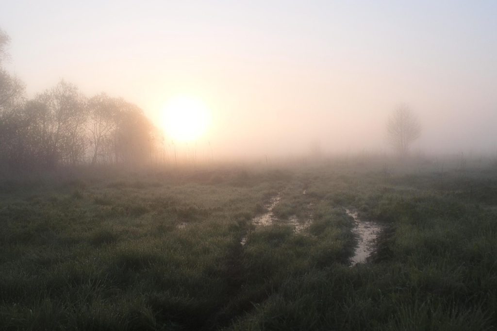Zachte mistige zonsopkomst symboliseert dissociatie en trauma