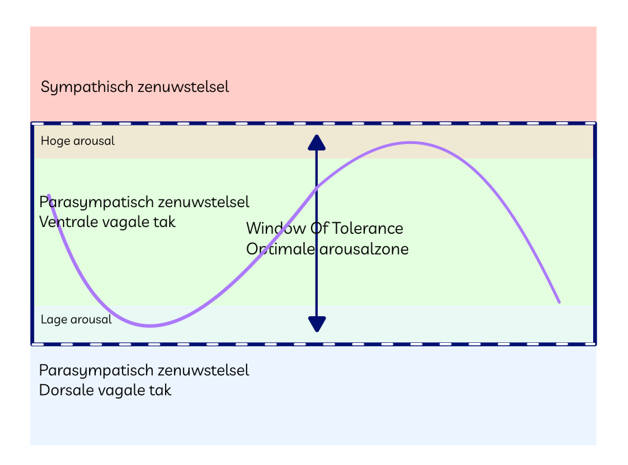 Model van Window Of Tolerance met weergave brede bandbreedte en responsdrempel