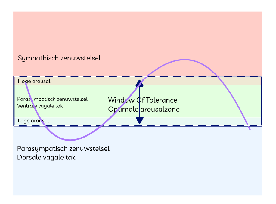 Model van Window Of Tolerance met weergave smalle bandbreedte